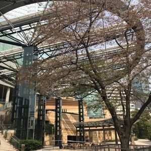 Meet your Posher, Janice